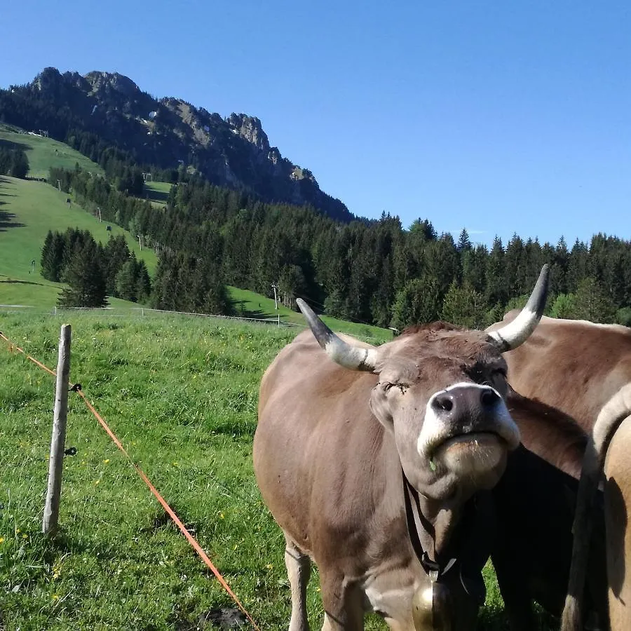 Erd'S Hoimatle Bed & Breakfast Jungholz 0*,  Austria